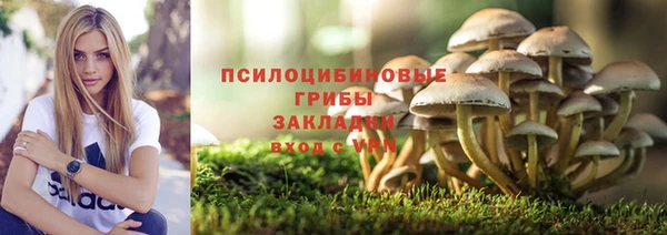 прущая мука Армянск