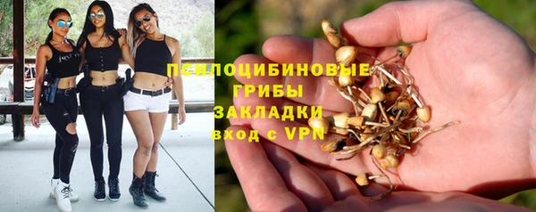прущая мука Армянск